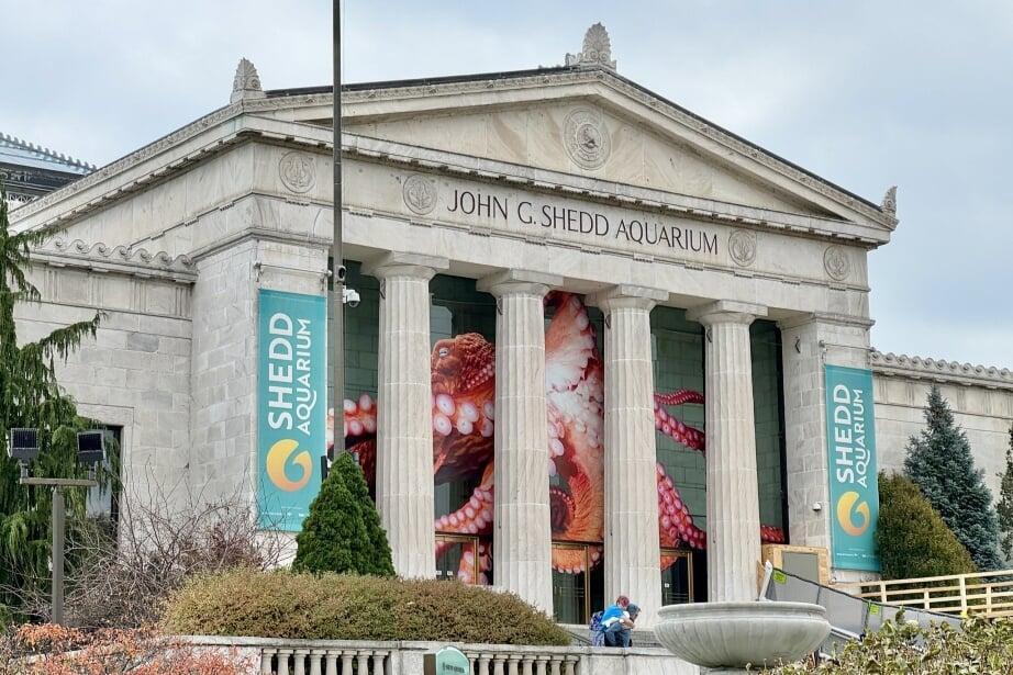 Shedd Aquarium - Photo by W. LeMay (CC BY-SA 2.0)